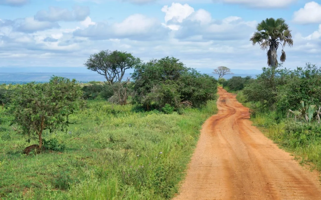 Exploring the Untouched Beauty: 5 Must-Do Activities in Uganda