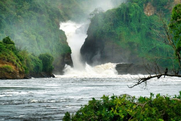 Exploring the Untouched Beauty: 5 Must-Do Activities in Uganda