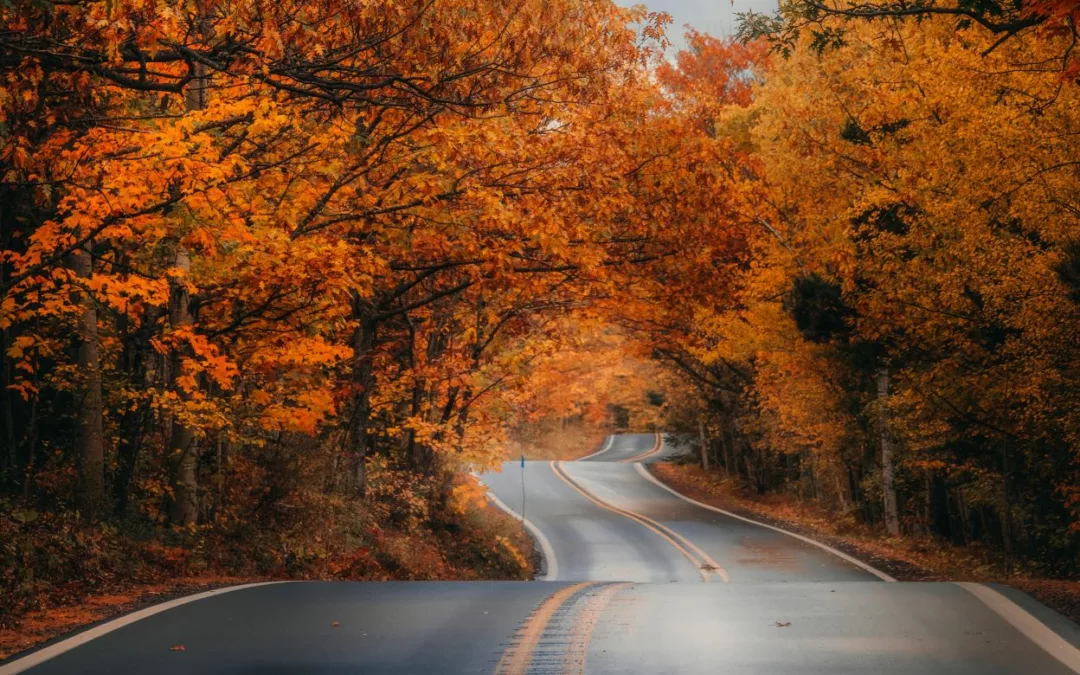 Fall Road Trips: Embrace the Season's Beauty with These Captivating Routes