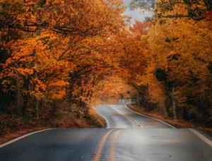 Fall Road Trips: Embrace the Season's Beauty with These Captivating Routes
